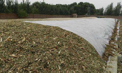 关注丨珠穆朗玛峰成了一座“垃圾峰”？